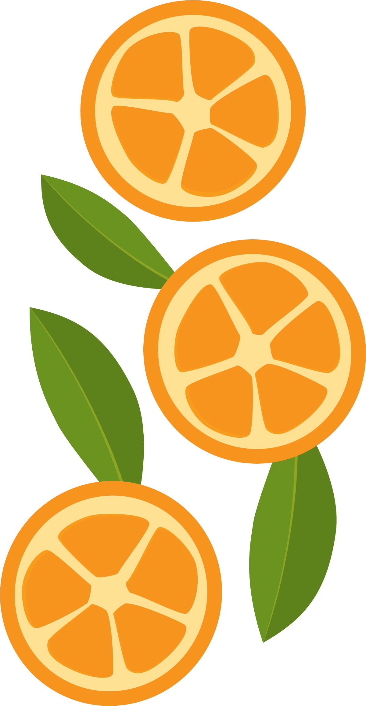 Three Kumquats Vertical