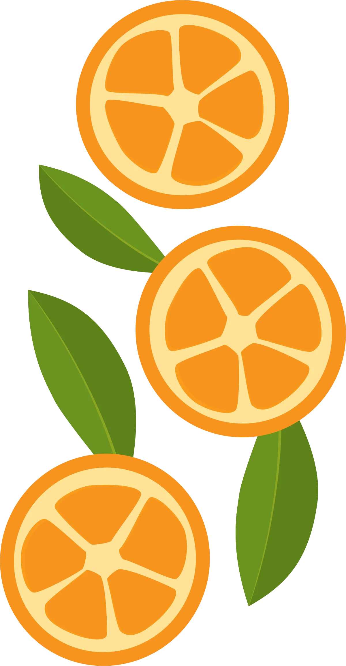Three Kumquats Vertical
